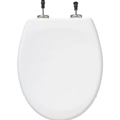 Abattant WC antibactérien blanc à clipser avec frein de chute