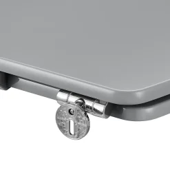 Abattant WC avec frein de fermeture, gris, GoodHome Morava