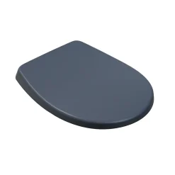Abattant WC gris anthracite brillant Classic Bemis