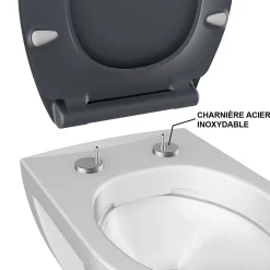 Abattant WC gris anthracite brillant Bemis