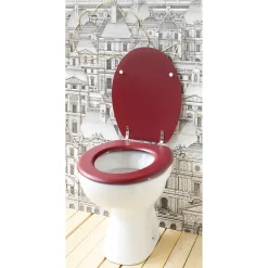 Abattant wc moule dolce cardinal