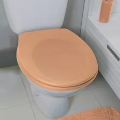 Abattant wc Thermo dur avec frein de chute NEELA Pêche Charnières ABS Chromé Spirella