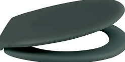 Abattant WC vert foncé Neela Spirella
