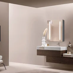Armoire de salle de bain à miroir LED 55 x 15 x 65cm - DILECI