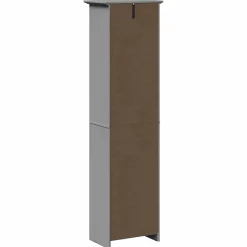 Armoire de salle de bain BODO gris 44x30x160 cm vidaXL