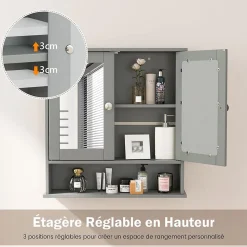 Armoire de Salle de Bain Murale avec Miroir 56 x 13 x 58 CM Gris Foncé