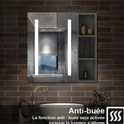 Armoire de toilette avec Miroir LED et Étagère Latérale, Anti-Buée, Éclairage 3 Couleurs + Prise, Anthracite 60x70 cm