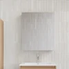 Armoire de toilette bloc-miroir FORTINA largeur 60 cm chêne clair