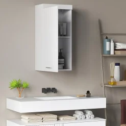 Armoire murale blanche avec porte, meuble salle de bain et cuisine à 2 étagères, armoire à pharmacie 37,2x24,5x76,8 cm