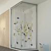 Cabine Douche 80x80 H198 Transparent mod. Evolution