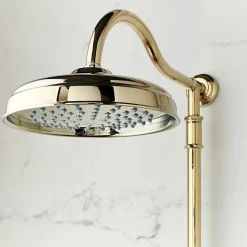 Colonne de douche JACOB DELAFON Cléo 1889 Or beige + nettoyant Briochin
