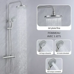 Colonne de douche nickel brossé,chrome - 2 fonctions - DILECI