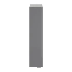 Colonne de salle de bains suspendue faible largeur gris brillant l.20 x H.90 x P.36 cm, GoodHome Imandra