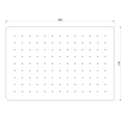 Douche de tête autonettoyante en ABS - D2517 - 25x17cm - couleur noir mat ou chrome Noir mat