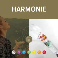 Douchette 1 jet Harmonie 12 cm 7ChakrasShower Change your life