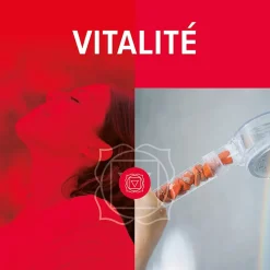Douchette 7Chakras Shower Vitalité au Jaspe Rouge 1 jet L.22,6 x l.10,6 x H 6 cm