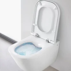 Duofix pack WC bâti-support UP100 + WC suspendu sans bride Roca avec abattant SoftClose + plaque blanche (GEBROGAWR02-FR)