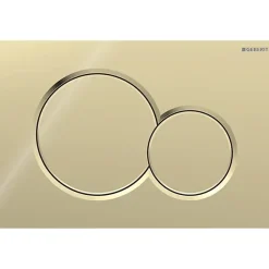 Geberit Plaque de déclenchement Sigma01 pour rinçage double touche (115.770.DT.5)