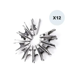Lot de 12 Pinces à linge en inox MSV