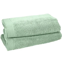 Lot de 2 serviettes de toilette 500 g/m² Menthe 50x90 cm STUDIO