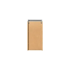 Meuble de rangement salle de bain ELVINA 1 porte H57 cm Vert sauge pastel Suspendu