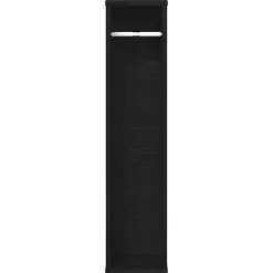 Meuble de salle de bain avec porte-rouleau noir 20,5x20x90 cm vidaXL