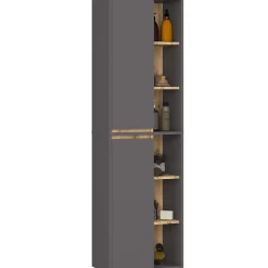 Meuble de salle de bain, gris graphite/chêne artisanal, 50 x 170 x 30 cm