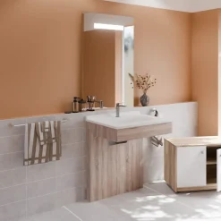 Meuble PMR ALTEA 70 cm avec plan vasque et miroir led ELEG Plus ht105