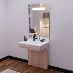 Meuble PMR ALTEA 70 cm avec plan vasque et miroir led ELEG Plus ht105
