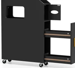Meuble Salle de Bain Étroit,avec Support pour Papier Toilette,2 Tiroir, 2 Roue, Poignée Pratique,pour Buanderie, Toilette (Noir)