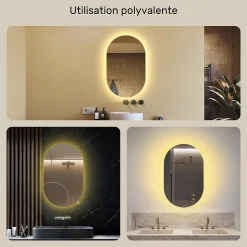 Miroir avec LED Illumination Salle de Bain (50x80cm) LED Lumineux Miroir avec Éclairage (TST106) Blanc Chaud 3000K
