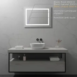 Miroir LED salle de bain OBLONG 60 x 80 cm réversible, anti-buée + éclairage et intensité réglables - Saniverre