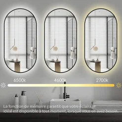 Miroir rectangle arrondi 50x100 cm lumière d'ambiance LED 2700 à 6000 K anti-buée cadre aluminium noir SANILAND