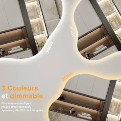 Miroir salle de bain asymétrique 80 x 55 cm LED Éclairage réglable en 3 couleurs + anti-buée + fonction mémoire AICA SANITAIRE
