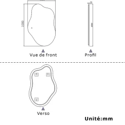 Miroir salle de bain asymétrique 100 x 66 cm LED Éclairage réglable en 3 couleurs + anti-buée + fonction mémoire AICA SANITAIRE