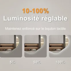 Miroir salle de bain asymétrique 60 x 50 cm LED Éclairage réglable en 3 couleurs + anti-buée + mémoire AICA SANITAIRE