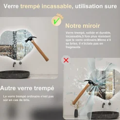 Miroir salle de bain asymétrique 60 x 50 cm LED Éclairage réglable en 3 couleurs + anti-buée + mémoire AICA SANITAIRE