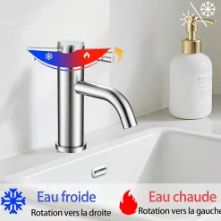 Mitigeur acier inoxydable 304, pour cuisine/salle de bain/lavabo/toilettes invités, avec tuyau, eau chaude/froide, argent