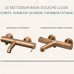 Mitigeur bain-douche mécanique cuivre brossé Essebagno Luisa