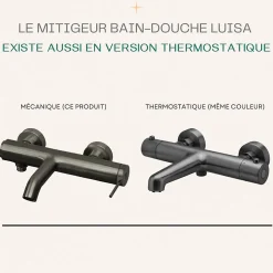 Mitigeur bain-douche mécanique gun métal Essebagno Luisa