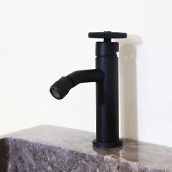 Mitigeur bidet noir Essebagno Indus