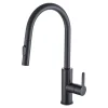Mitigeur de cuisine avec douchette noir GoodHome Zanthe