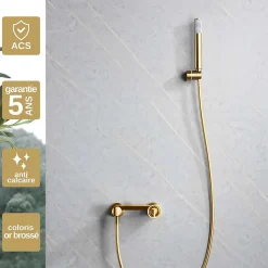 Mitigeur de Douche anti-calcaire Or Brossé IMEX OLIMPO BDC033-5OC