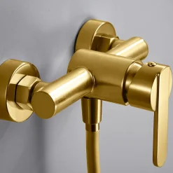 Mitigeur de Douche anti-calcaire Or Brossé IMEX ROMA BDR001-5OC