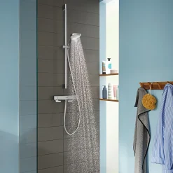 Mitigeur de douche thermostatique Hansgrohe Ecostat E