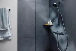 Mitigeur de douche thermostatique chromé Hansgrohe Thermo Ecostat Life