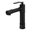 Mitigeur de lavabo noir GoodHome Sauga