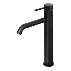 Mitigeur de lavabo XL H.25,6 cm, noir mat, GoodHome Owens