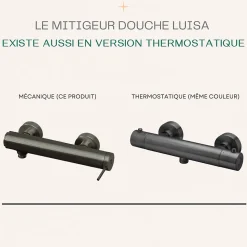 Mitigeur douche mécanique gun métal Essebagno Luisa
