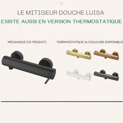 Mitigeur douche mécanique noir Essebagno Luisa
